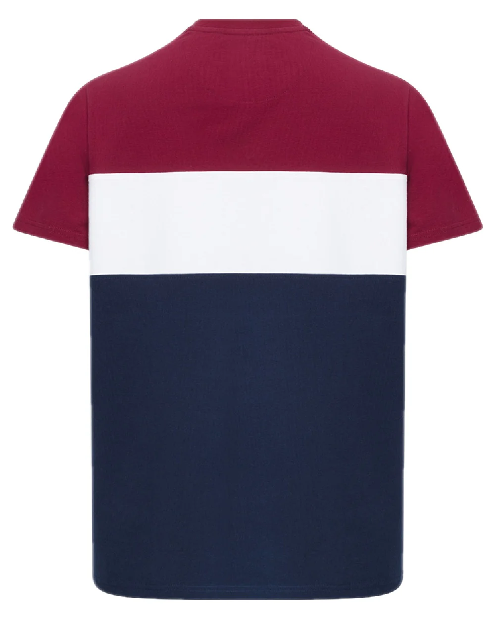 Hoggs of Fife Mens Dalbeattie Colour Block T-Shirt - Image 3
