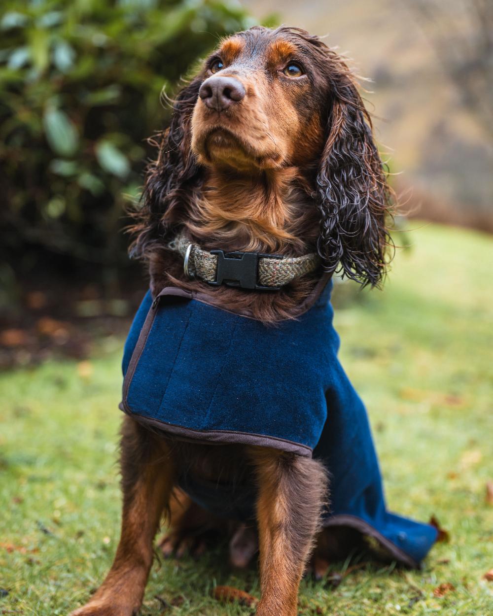 Hoggs of Fife Stenton Fleece Dog Coat - Image 12