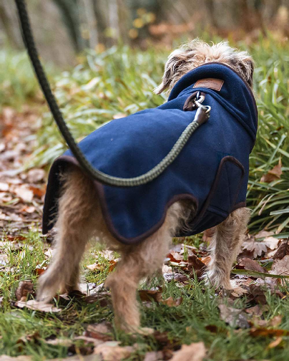 Hoggs of Fife Stenton Fleece Dog Coat - Image 17