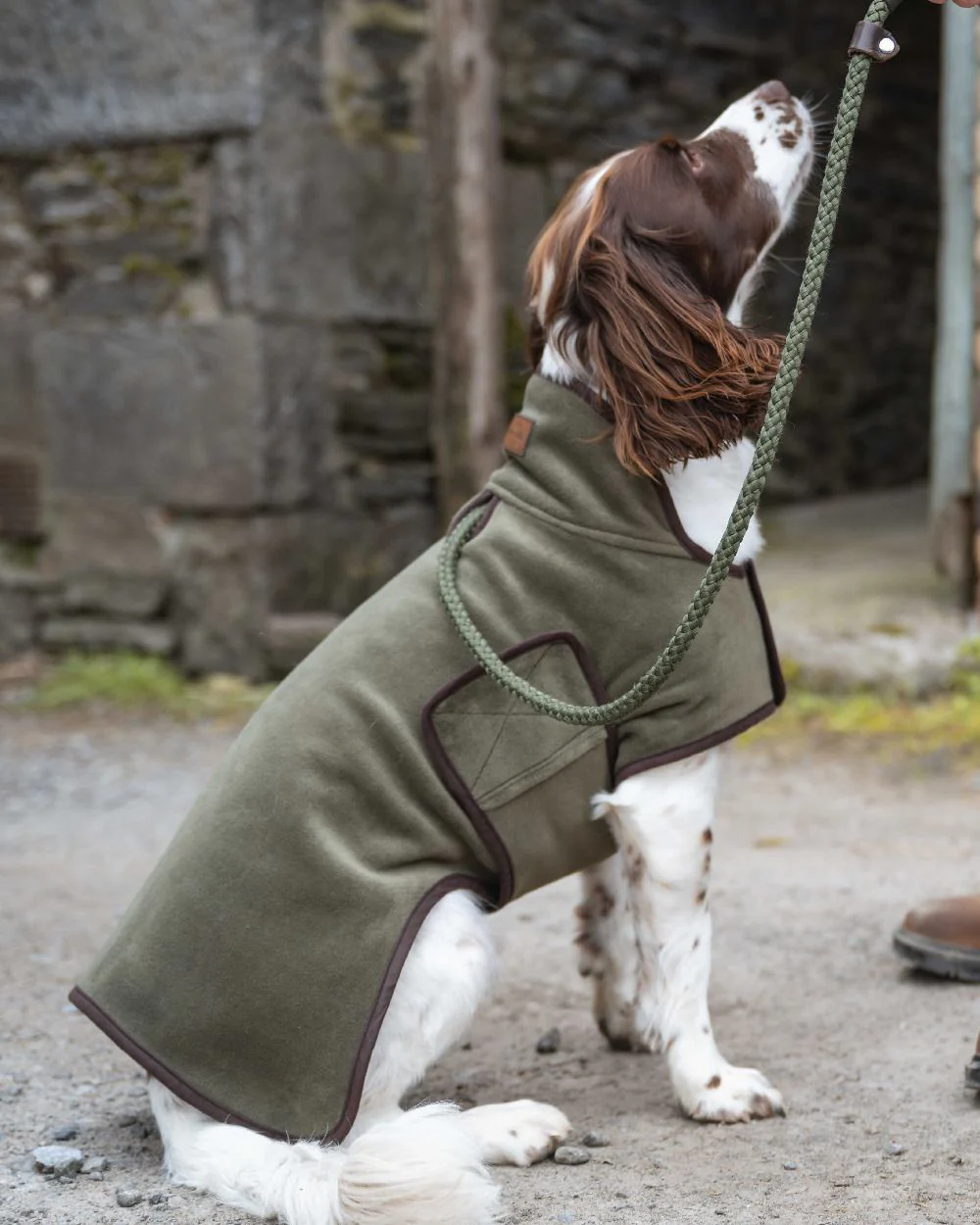 Hoggs of Fife Stenton Fleece Dog Coat - Image 2