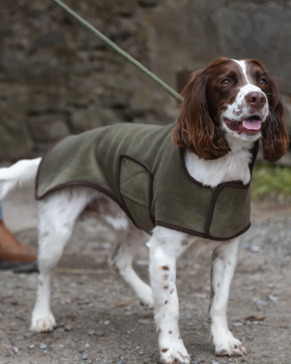 Hoggs of Fife Stenton Fleece Dog Coat - Image 3