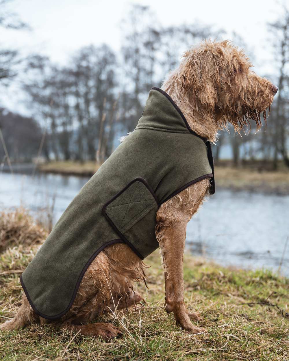 Hoggs of Fife Stenton Fleece Dog Coat - Image 4