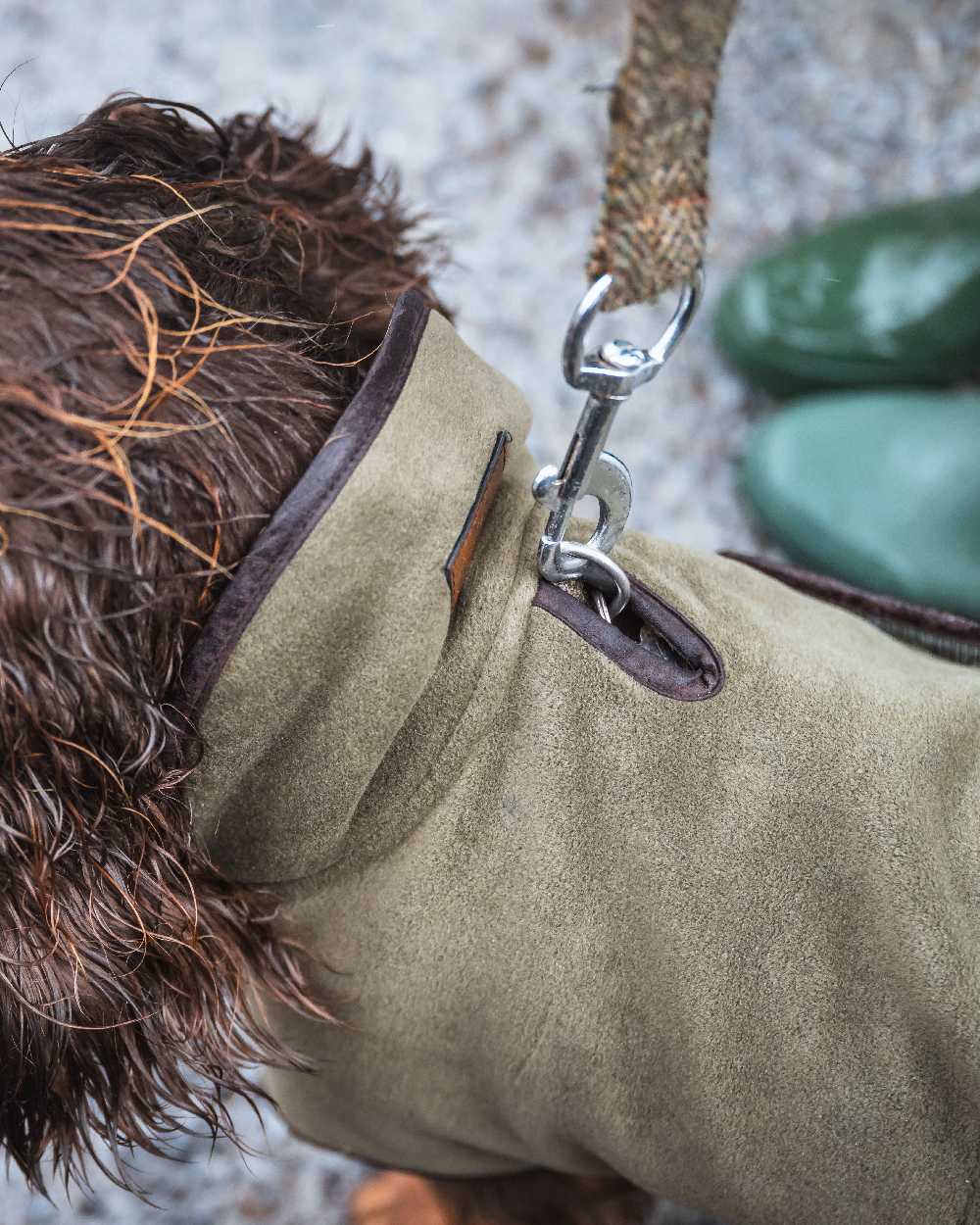 Hoggs of Fife Stenton Fleece Dog Coat - Image 6