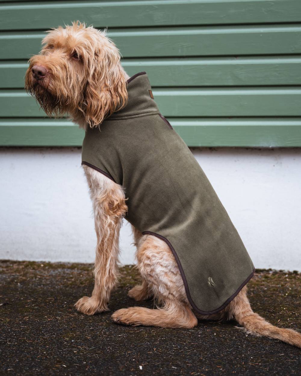 Hoggs of Fife Stenton Fleece Dog Coat - Image 7