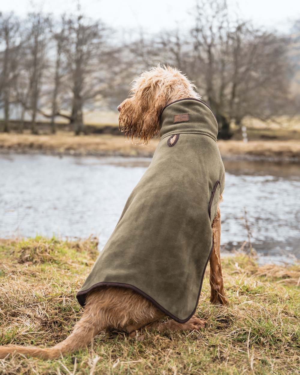 Hoggs of Fife Stenton Fleece Dog Coat - Image 8
