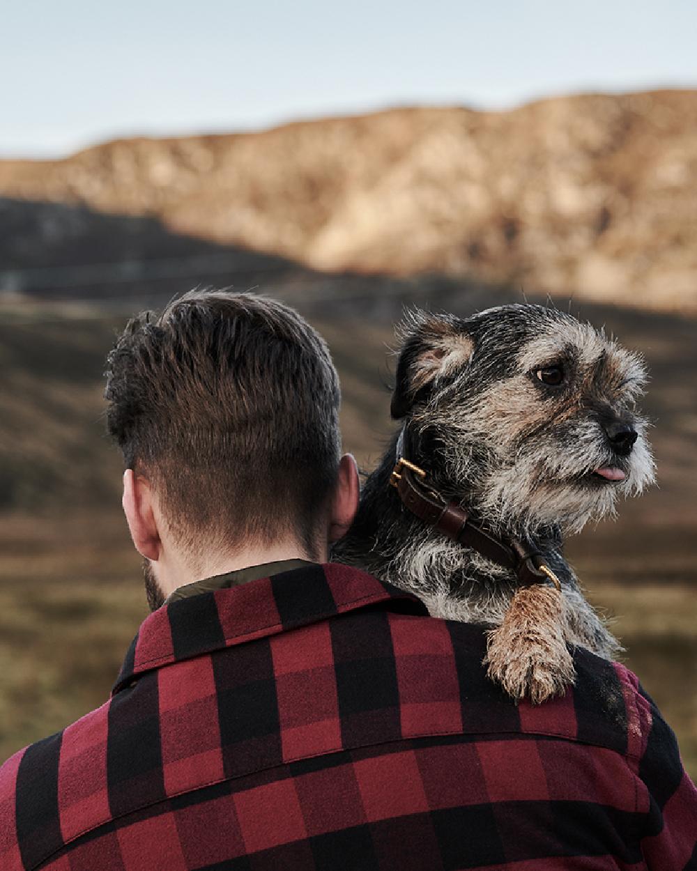 Hoggs of Fife Tentsmuir Flannel Shirt - Image 7