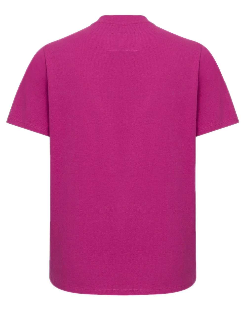 Hoggs of Fife Womens Stella Printed T-Shirt - Image 6