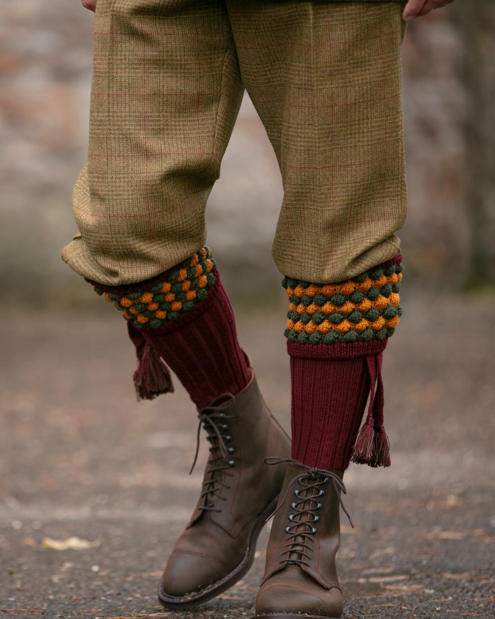 House of Cheviot Angus Socks - Image 2