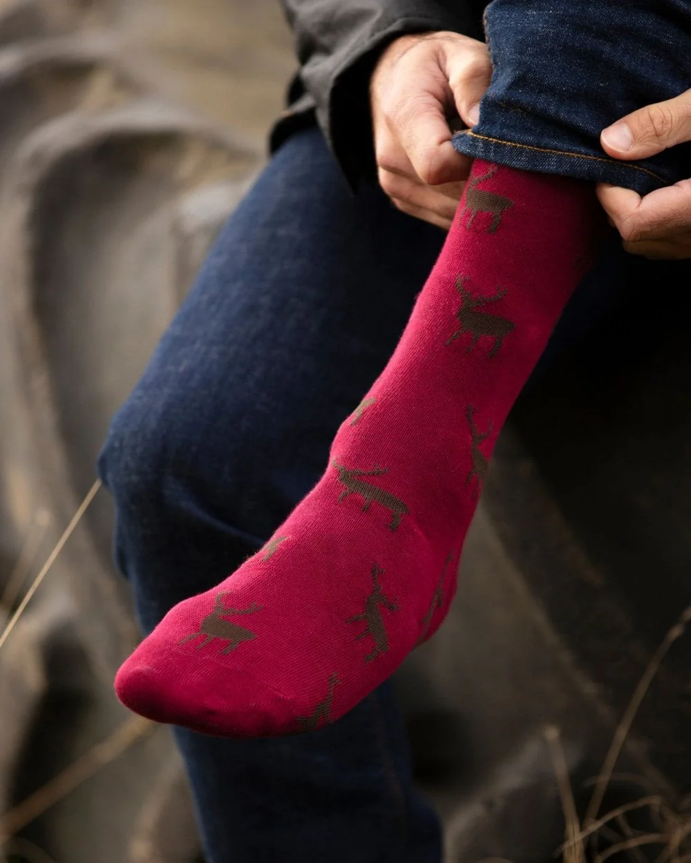 House of Cheviot Cotton Socks - Image 6