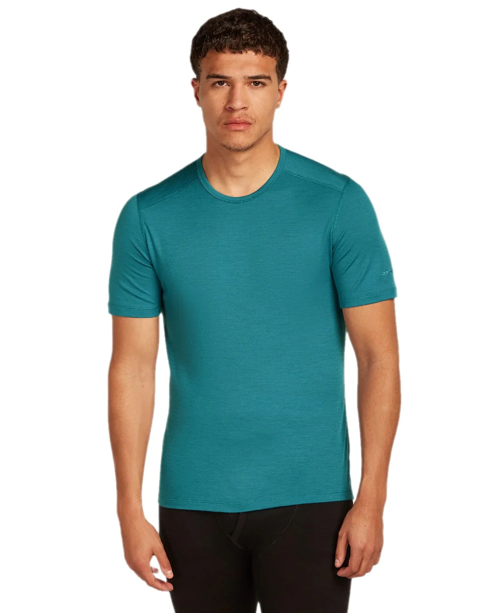Icebreaker Mens Merino 200 Oasis Crew Short Sleeve Thermal Top - Image 15