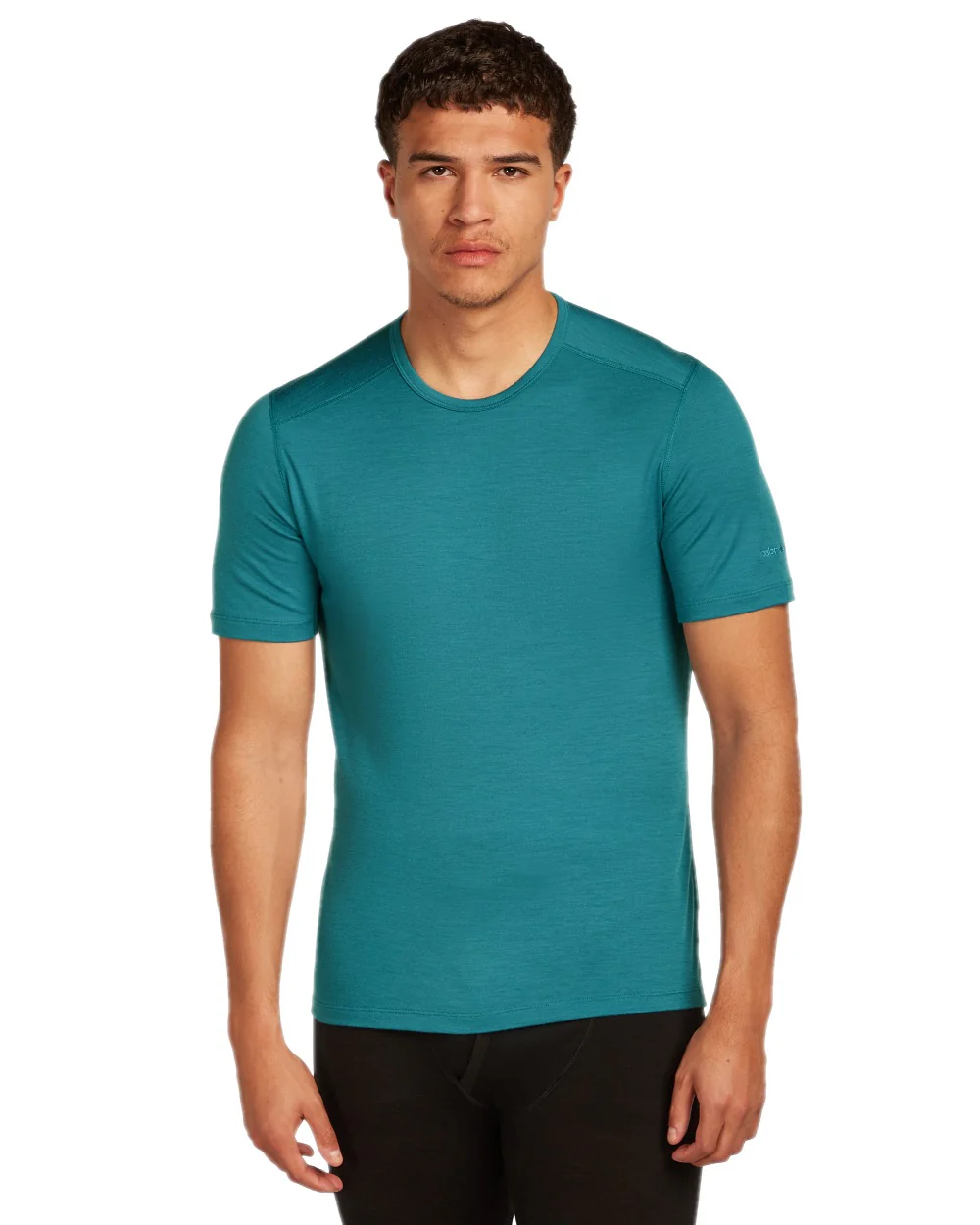 Icebreaker Mens Merino 200 Oasis Crew Short Sleeve Thermal Top - Image 17