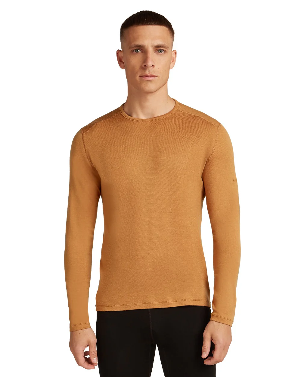 Icebreaker Mens Merino 260 Tech Crew Thermal Top - Image 37