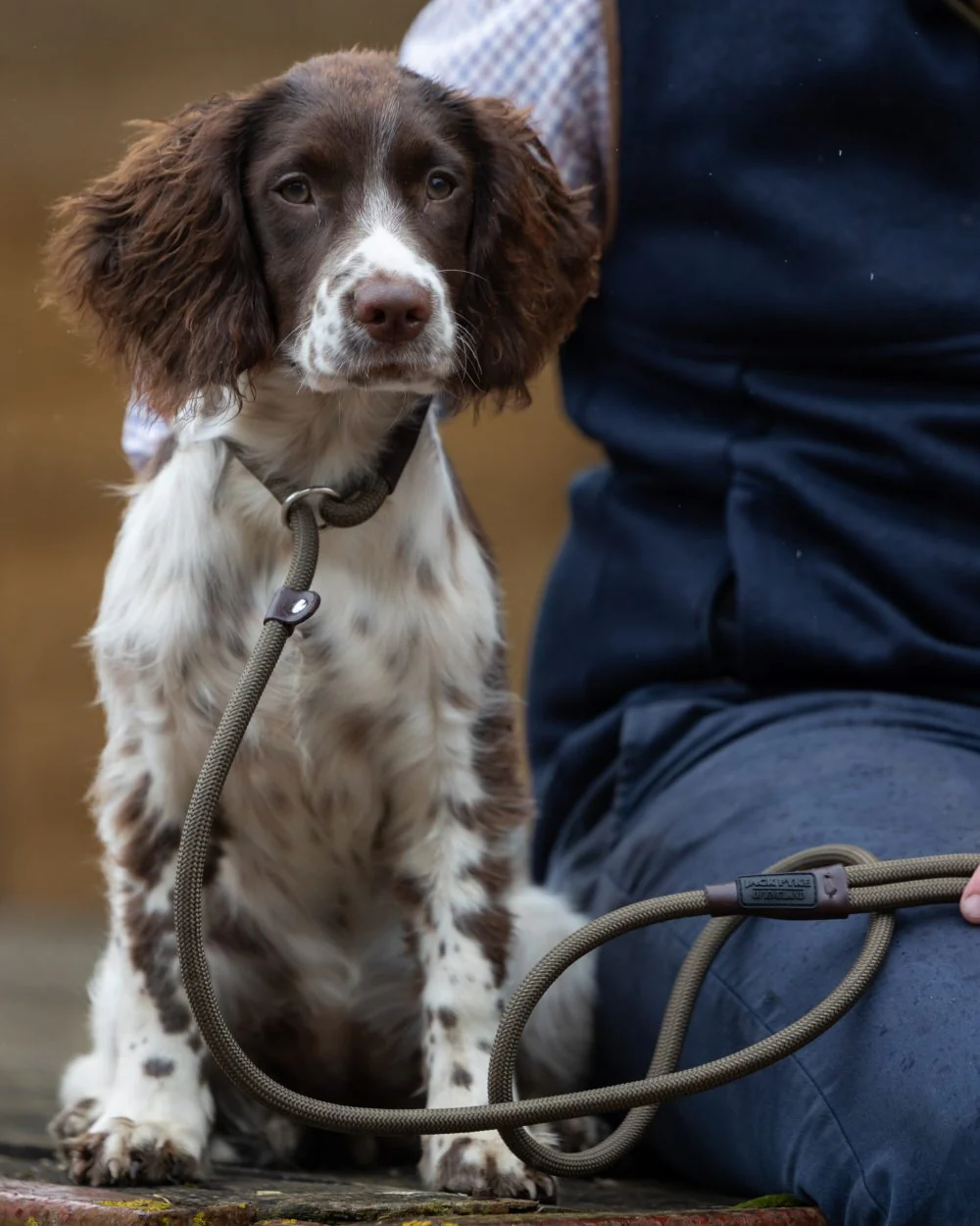 Jack Pyke Dog Slip Lead - Image 7