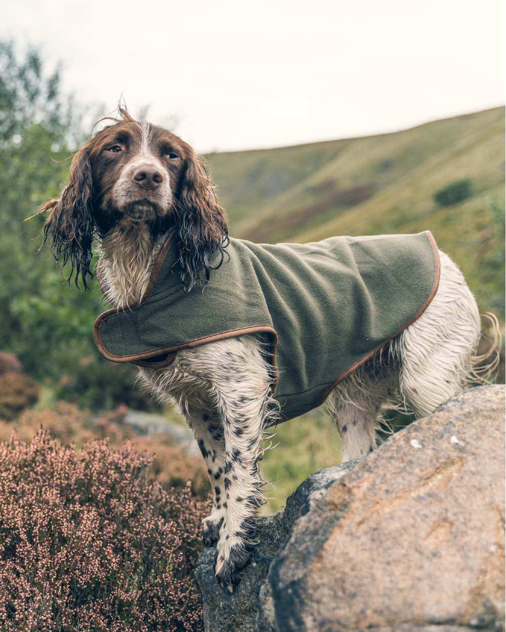 Jack Pyke Fleece Dog Coat - Image 14