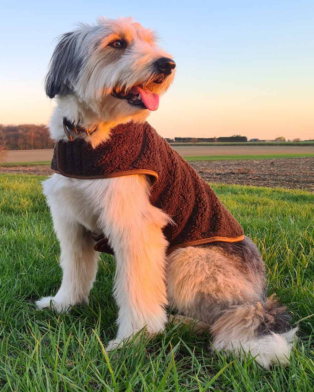 Jack Pyke Sherpa Fleece Dog Coat - Image 4