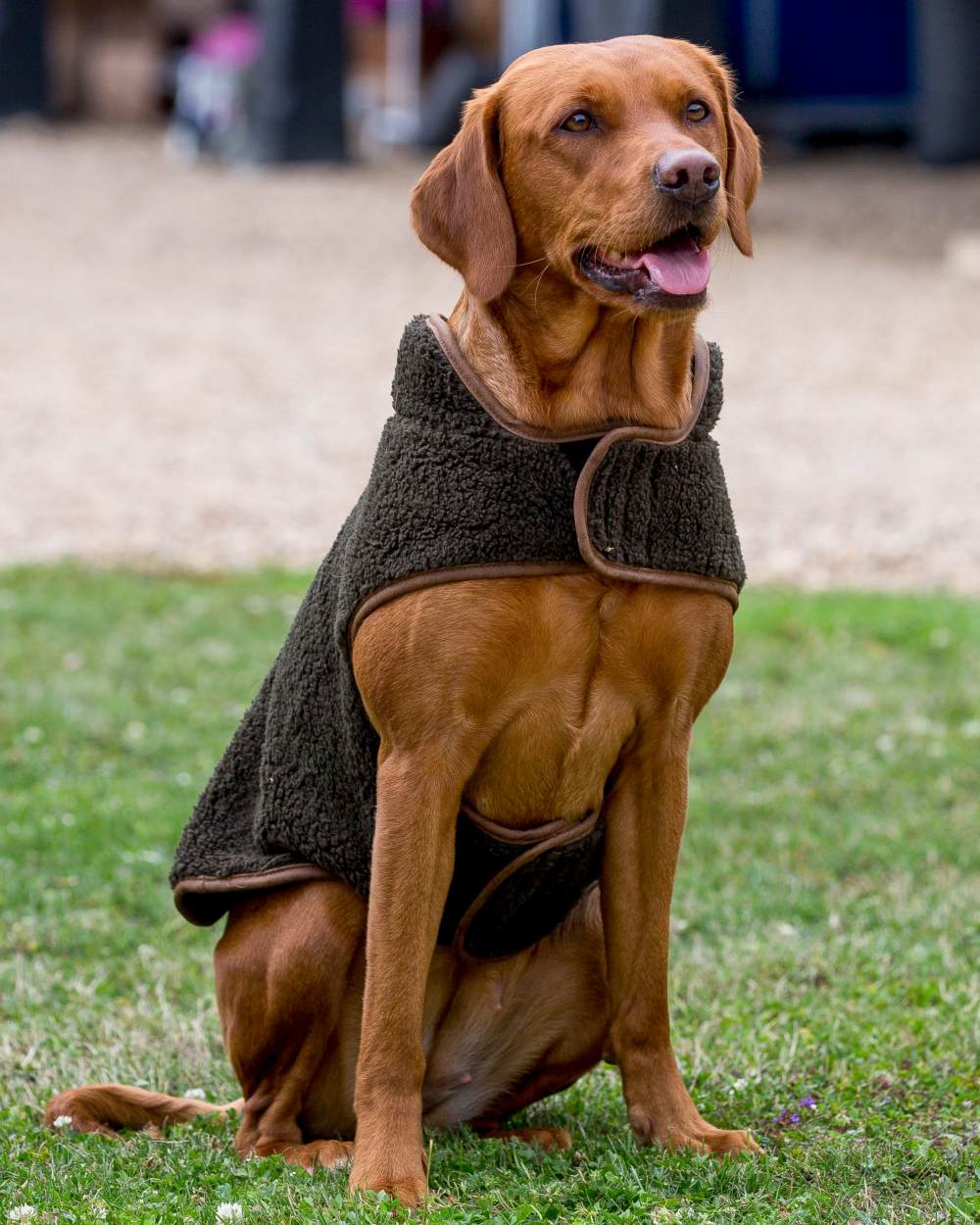 Jack Pyke Sherpa Fleece Dog Coat - Image 6