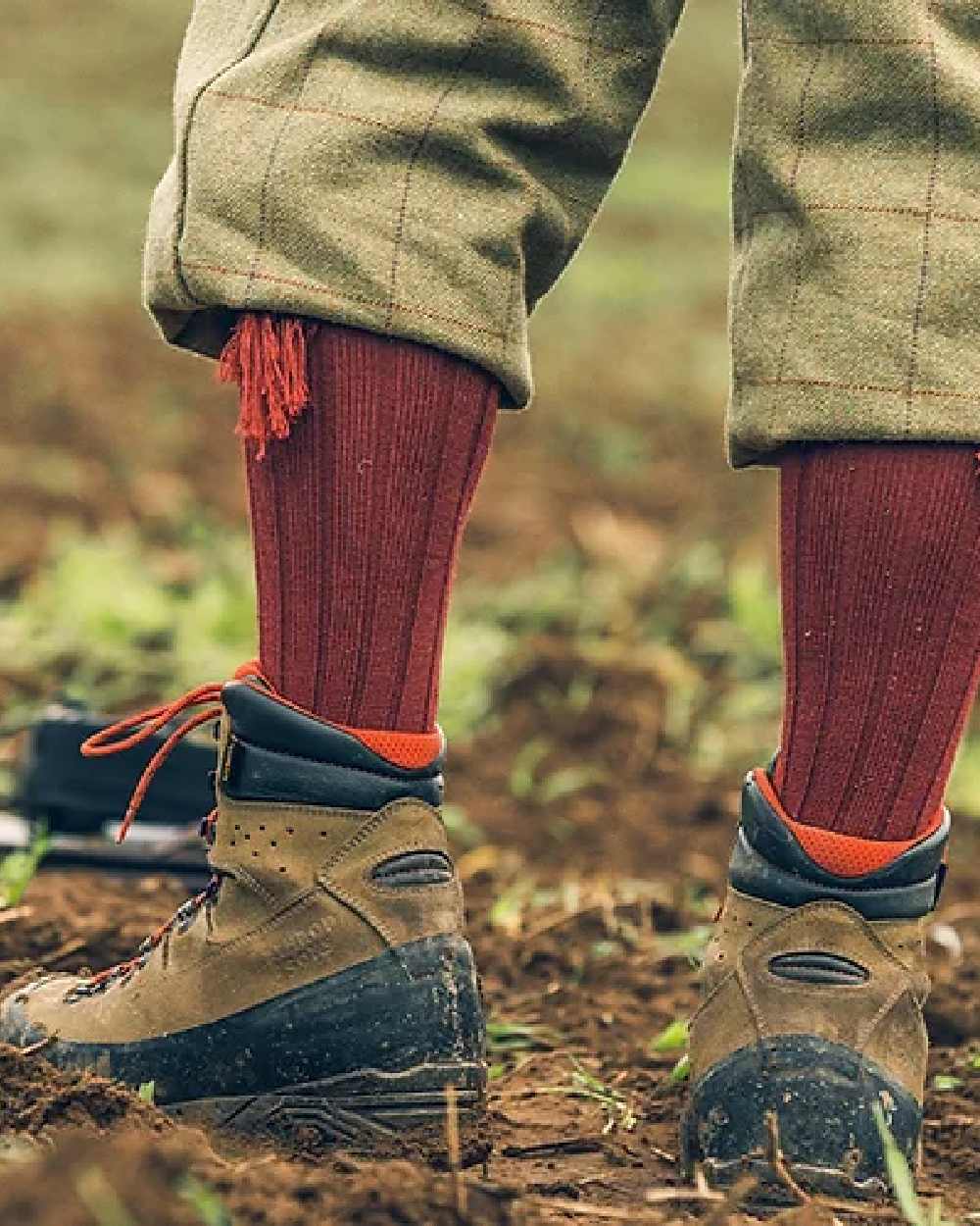 Jack Pyke Plain Shooting Socks - Image 4