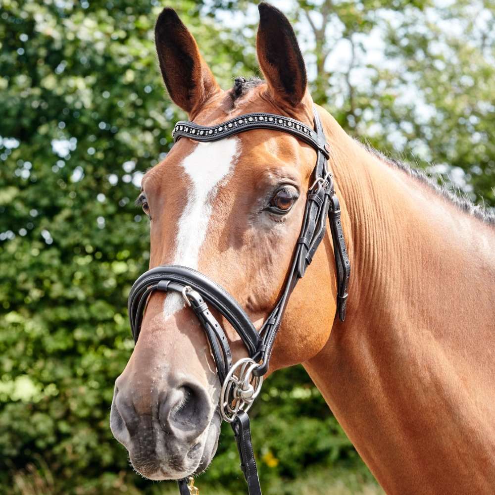 John Whitaker Lynton Flash Bridle with Browbands - Image 3