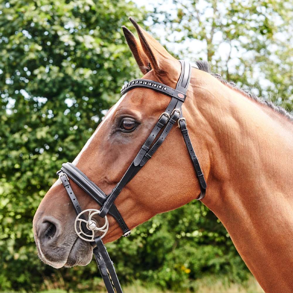 John Whitaker Lynton Flash Bridle with Browbands - Image 4