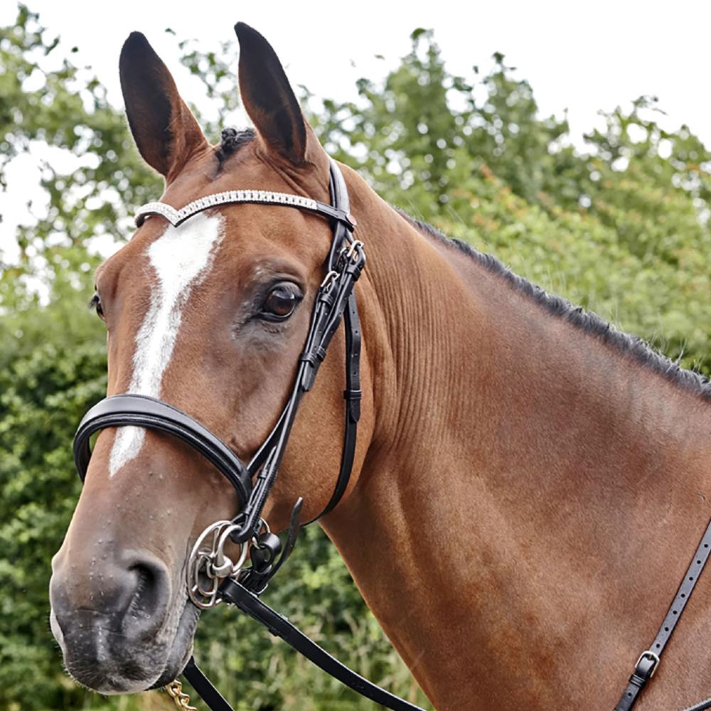 John Whitaker Lynton Snaffle Bridle With 2 Browbands - Image 4
