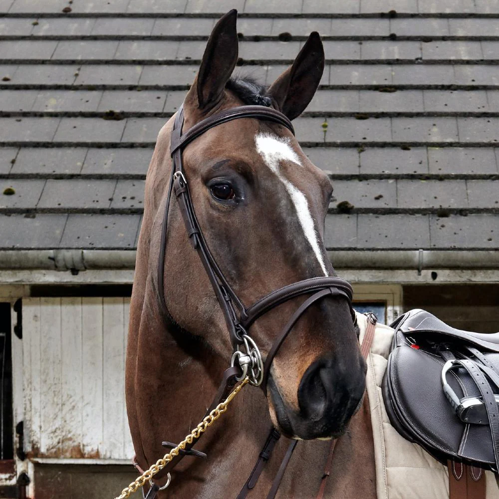 John Whitaker Ready To Ride Leather Flash Bridle - Image 4