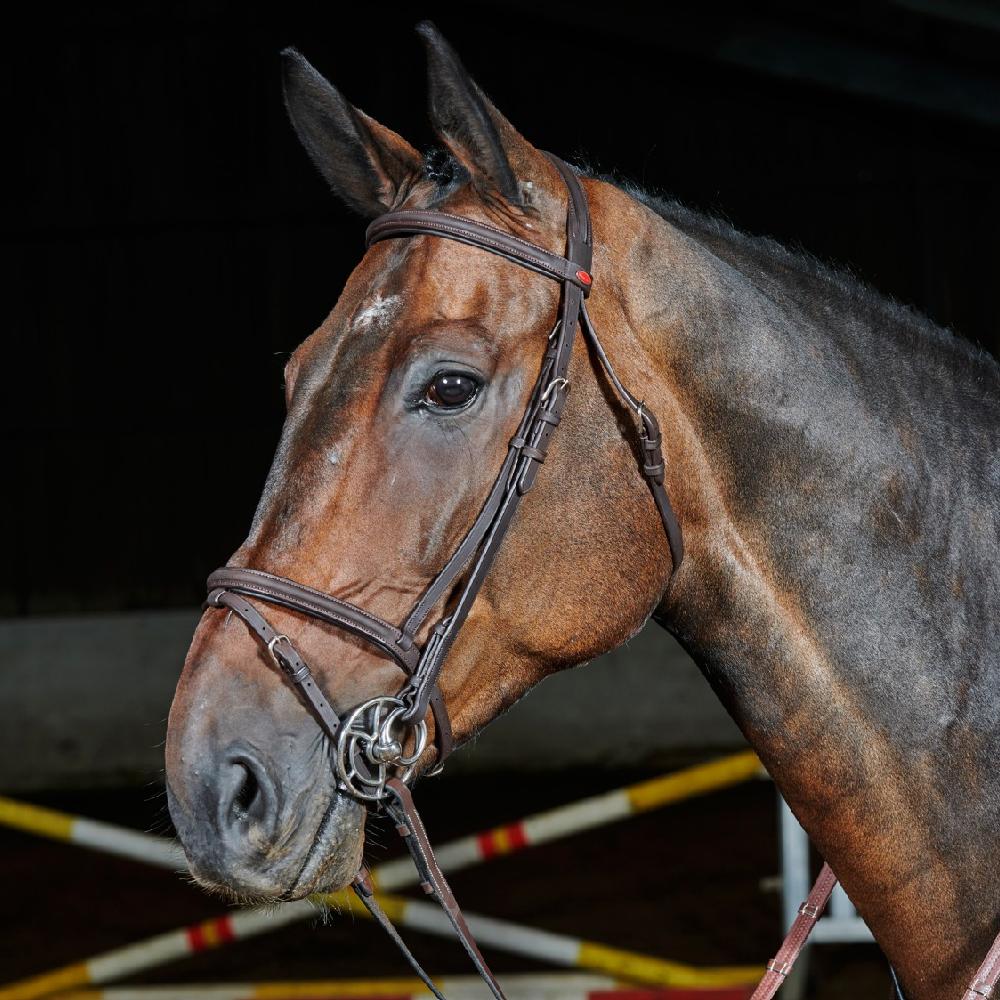 John Whitaker Ready To Ride Leather Flash Bridle - Image 5