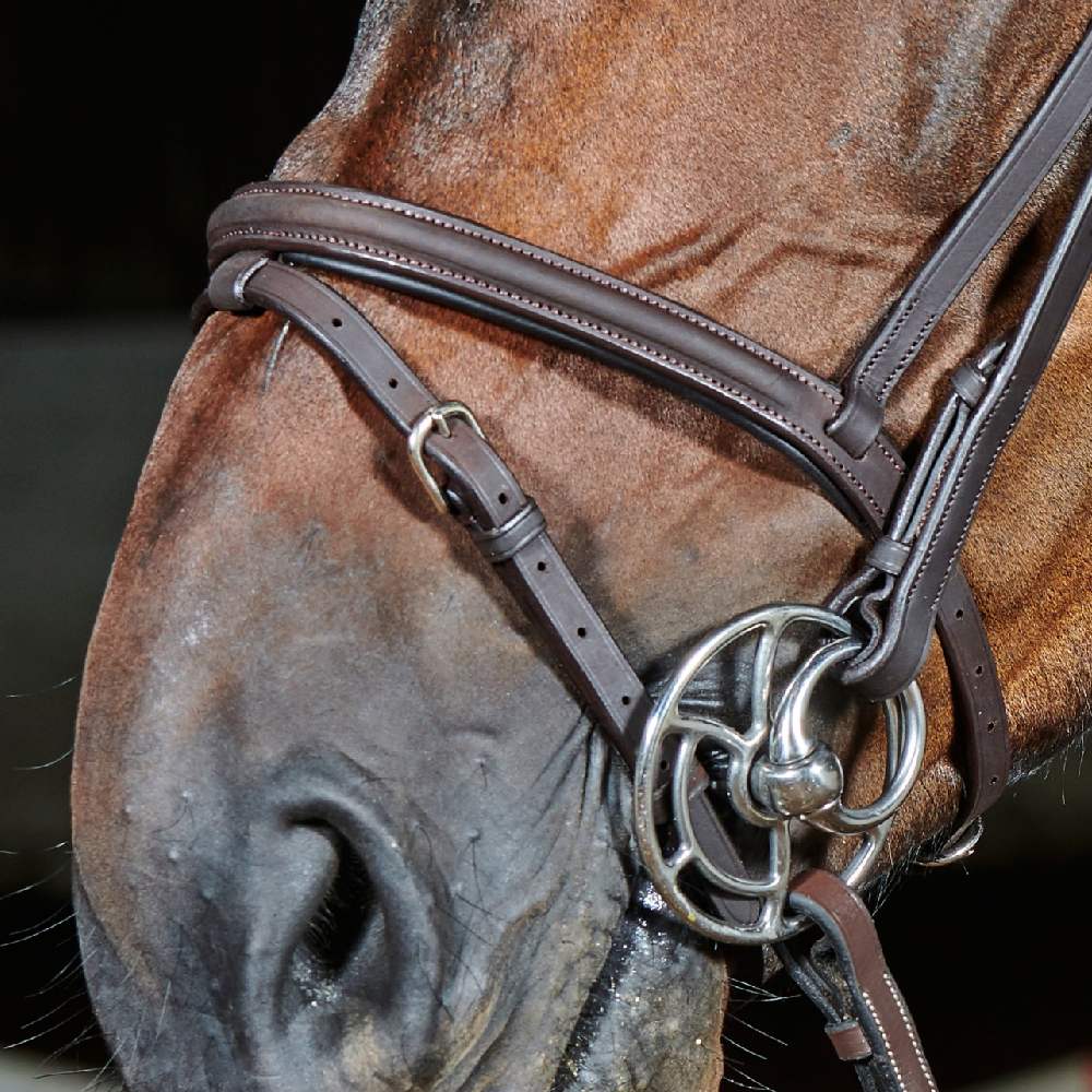 John Whitaker Ready To Ride Leather Flash Bridle - Image 6