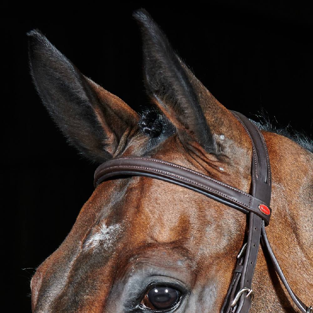 John Whitaker Ready To Ride Leather Flash Bridle - Image 7