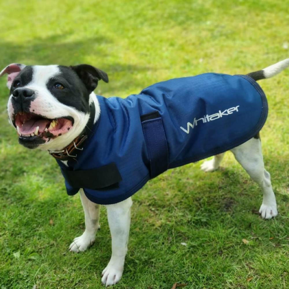 John Whitaker Weir Dog Coat - Image 2
