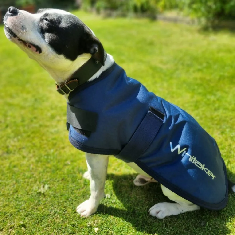 John Whitaker Weir Dog Coat - Image 3