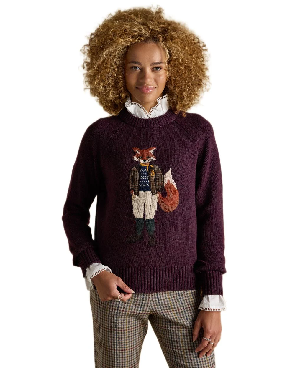Joules Jonty Intarsia Knit Jumper - Image 10