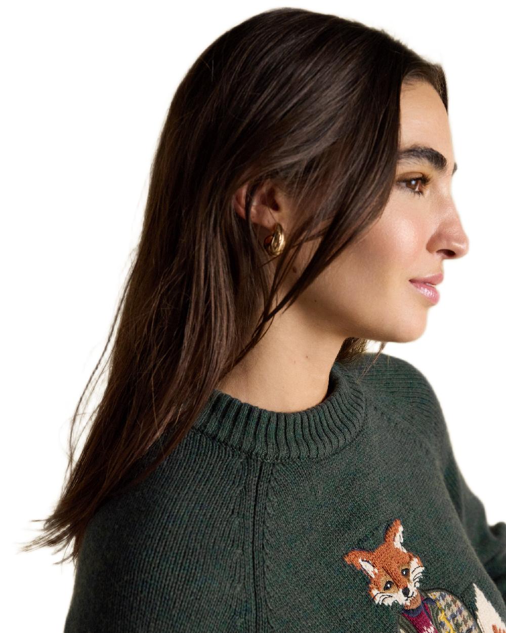 Joules Jonty Intarsia Knit Jumper - Image 5