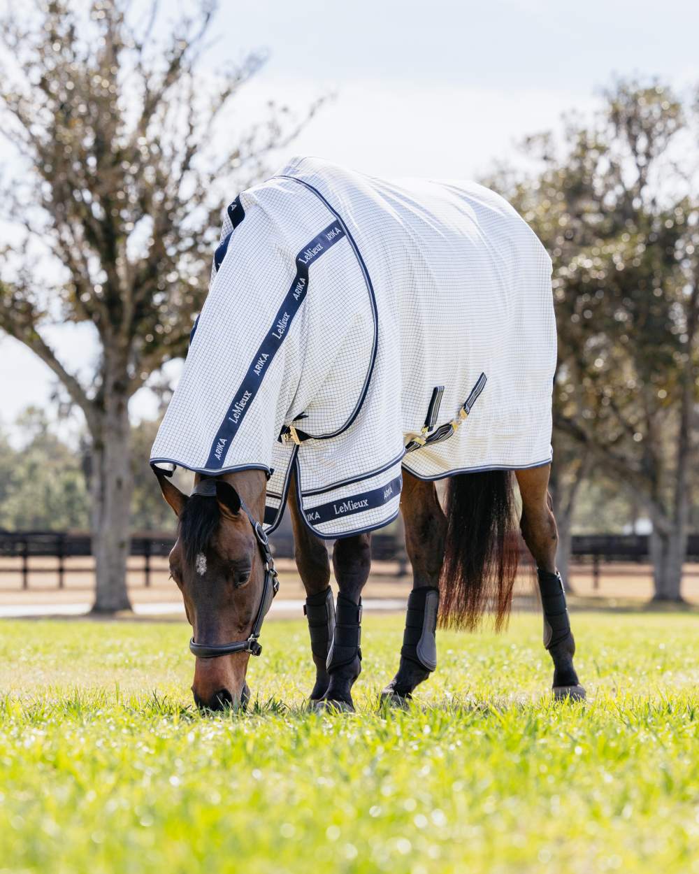 LeMieux Arika Field Rug - Image 2