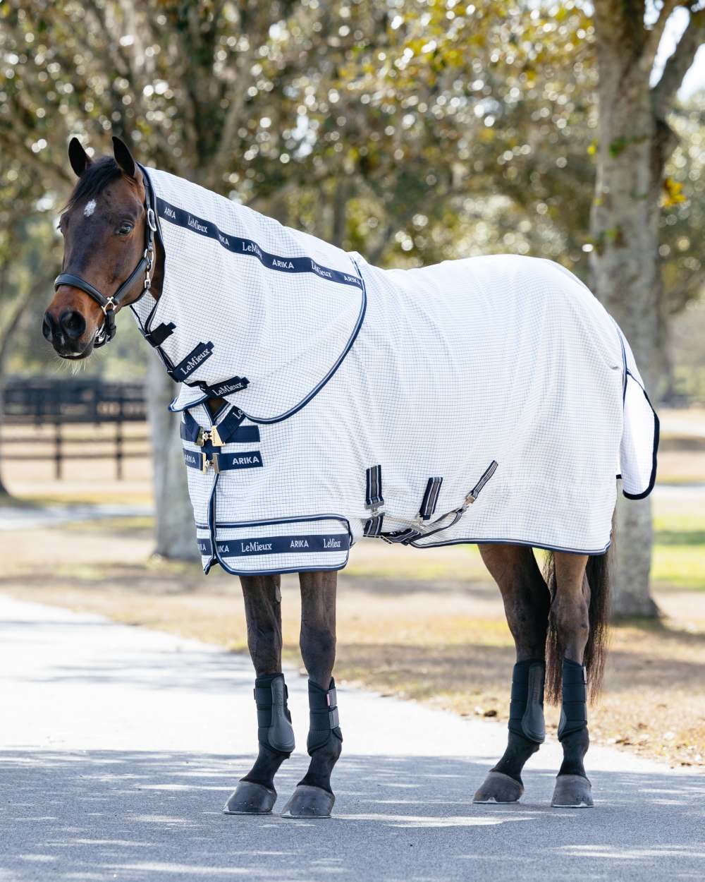 LeMieux Arika Field Rug - Image 4