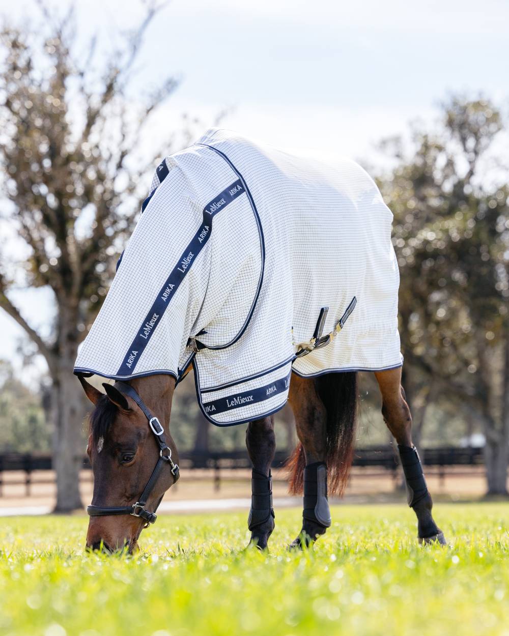 LeMieux Arika Field Rug - Image 8