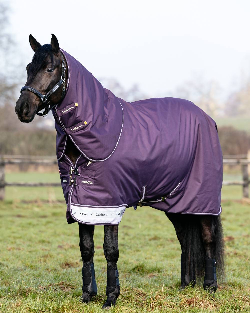 LeMieux Arika Ripstop 100g Turnout Rug - Image 2