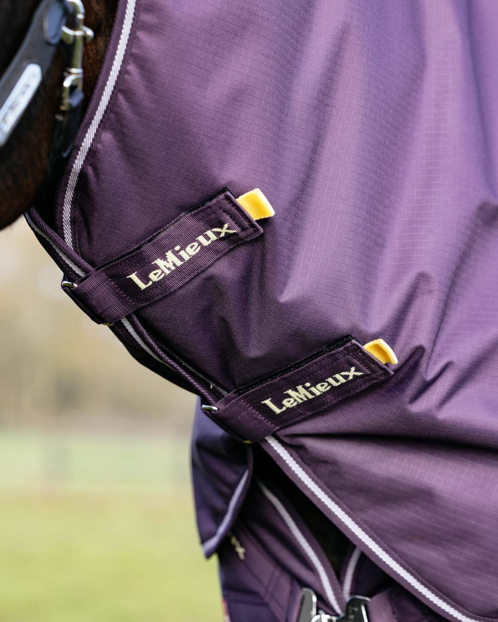 LeMieux Arika Ripstop 100g Turnout Rug - Image 3