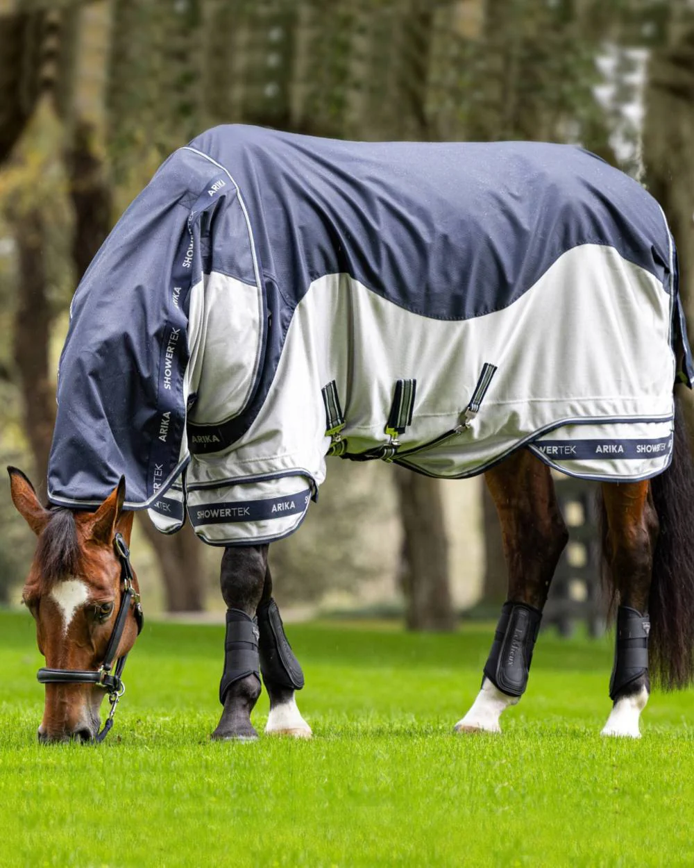 LeMieux Arika Shower Tek Fly Rug - Image 2