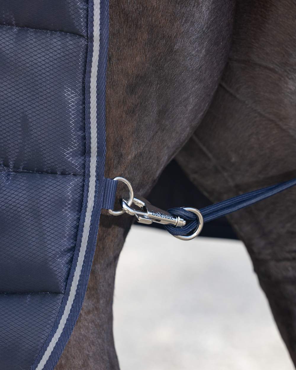 LeMieux Arika Stable-Tek 100g - Image 4
