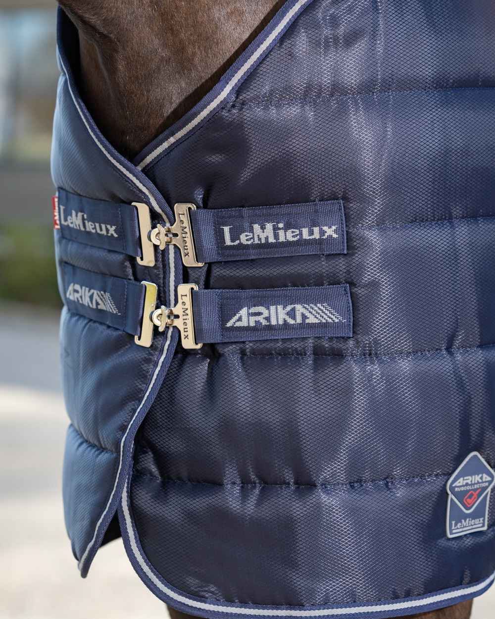 LeMieux Arika Stable-Tek 100g - Image 8