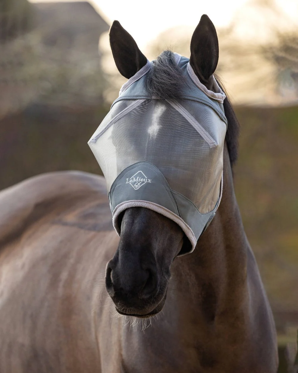 LeMieux Armour Shield Pro Standard Fly Mask - Image 6