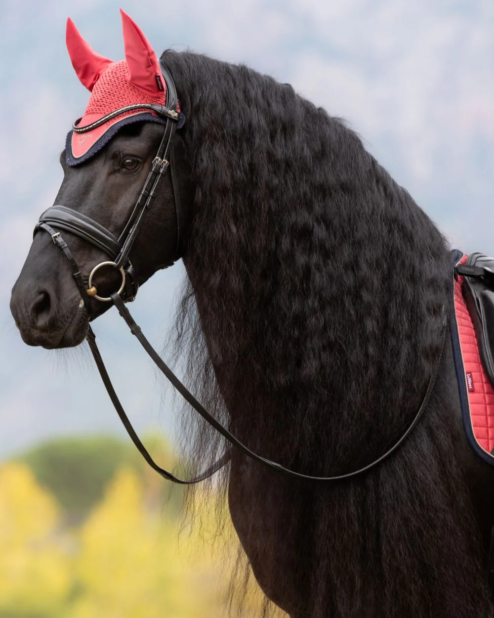 LeMieux Classic Fly Hood - Image 11