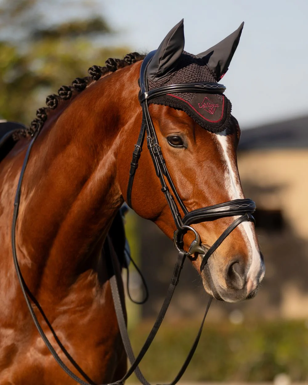 LeMieux Classic Fly Hood - Image 6
