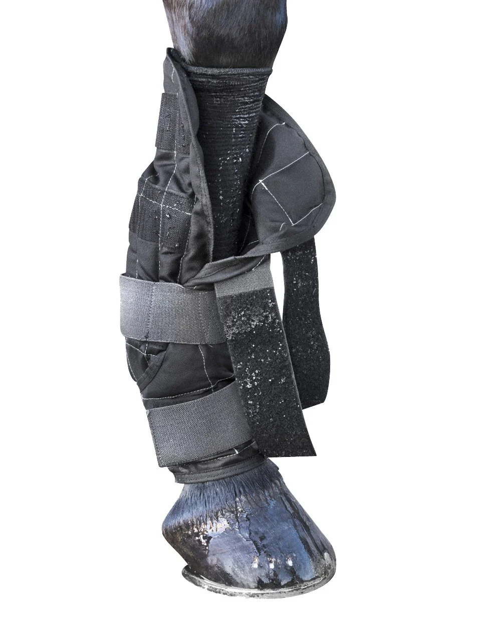 LeMieux Cold Water Boots - Image 4
