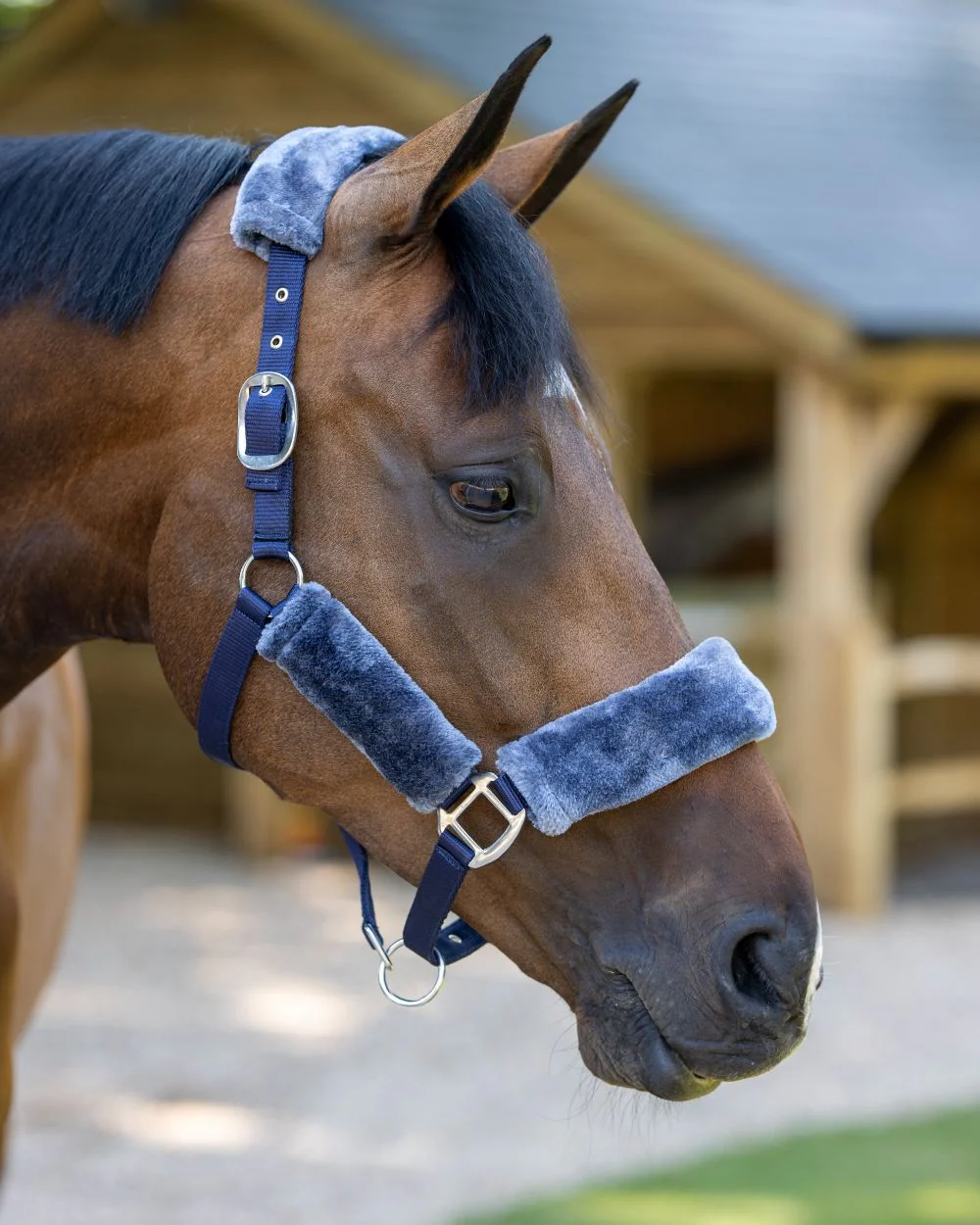 LeMieux Comfort Headcollar - Image 24