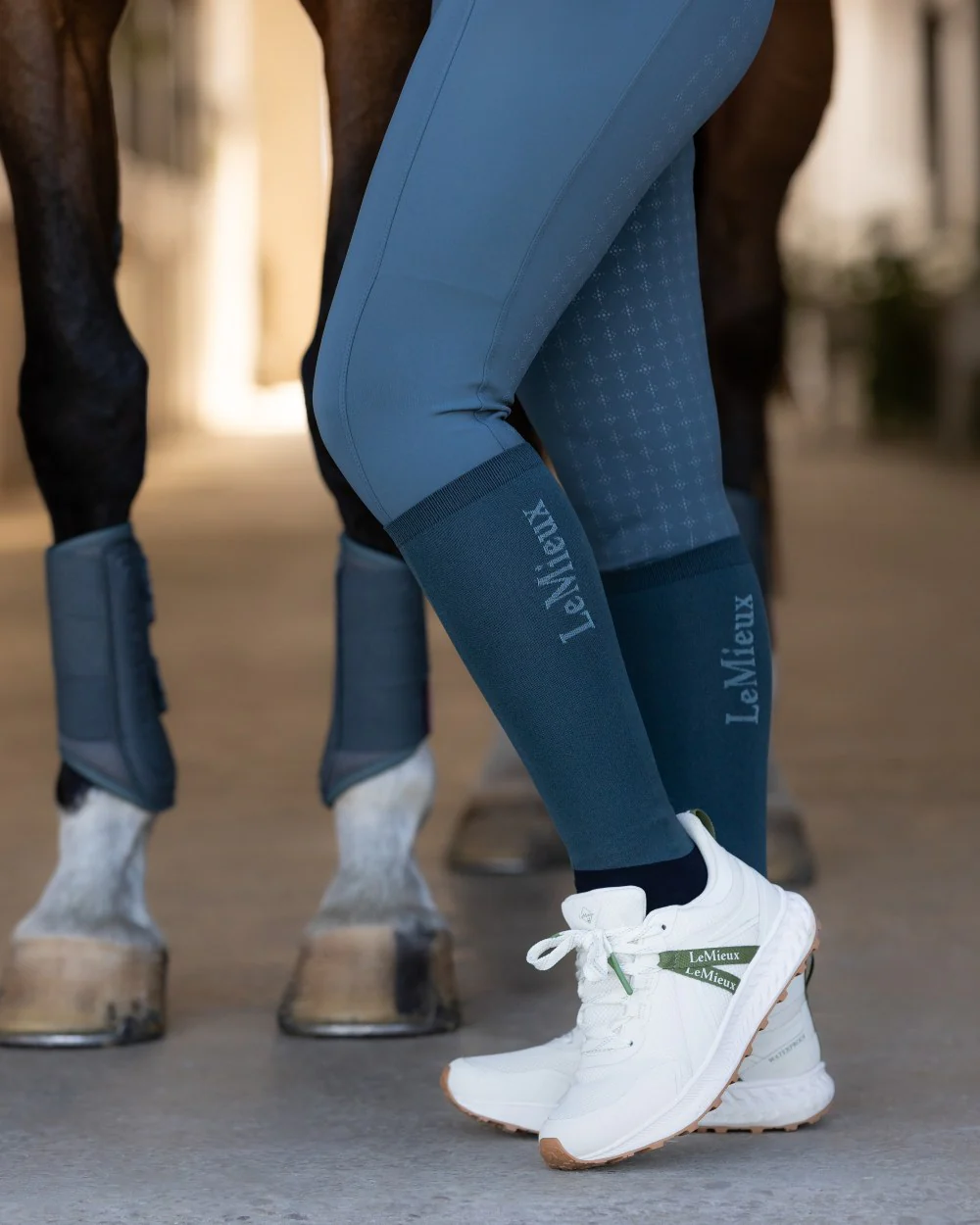 LeMieux Competition Socks - Twin Pack - Image 13