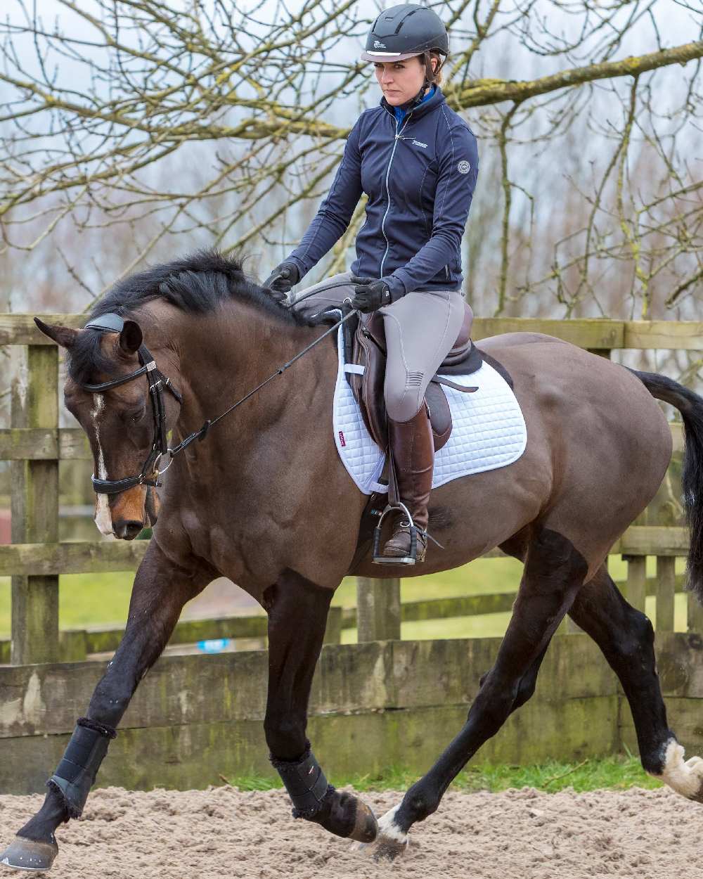 LeMieux Cotton GP Square Saddle Pad - Image 19