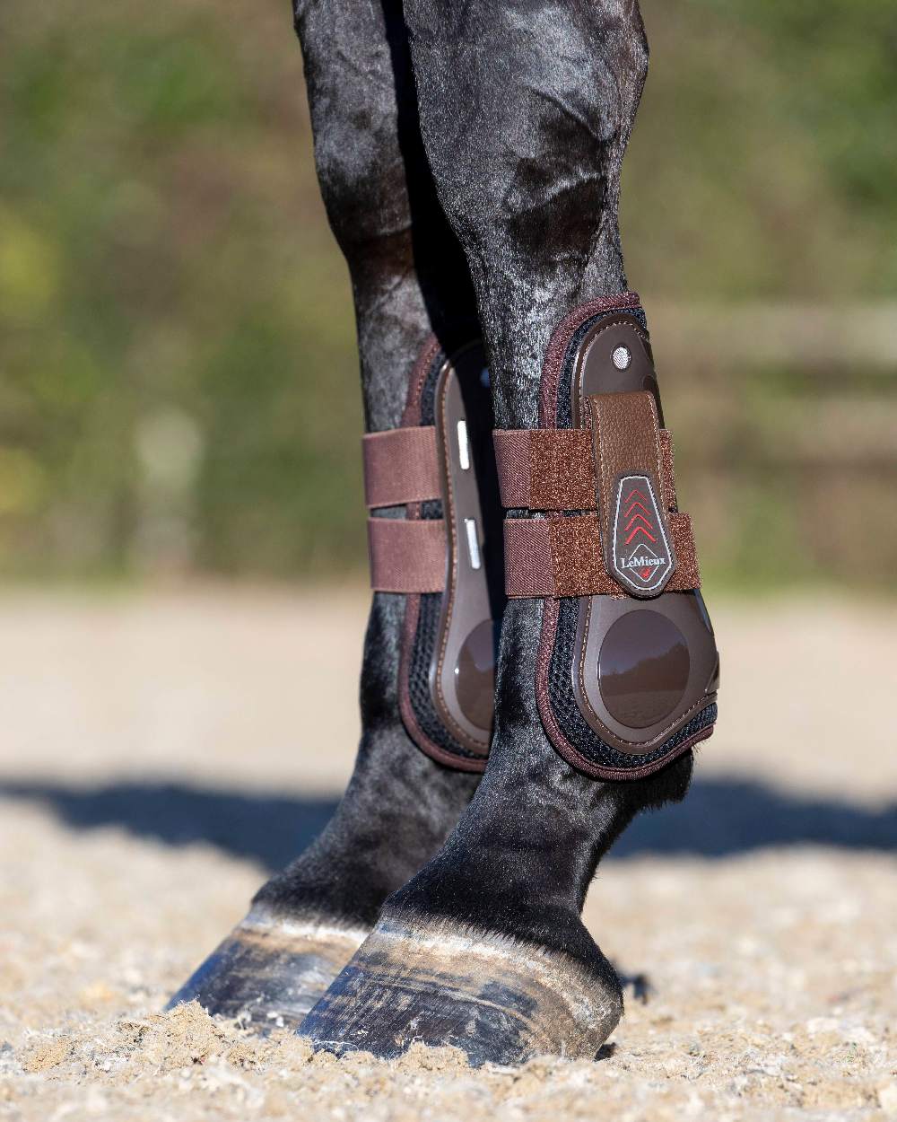 LeMieux Derby ProJump Tendon Boots - Image 12