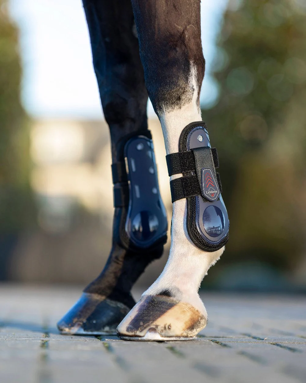 LeMieux Derby ProJump Tendon Boots - Image 18