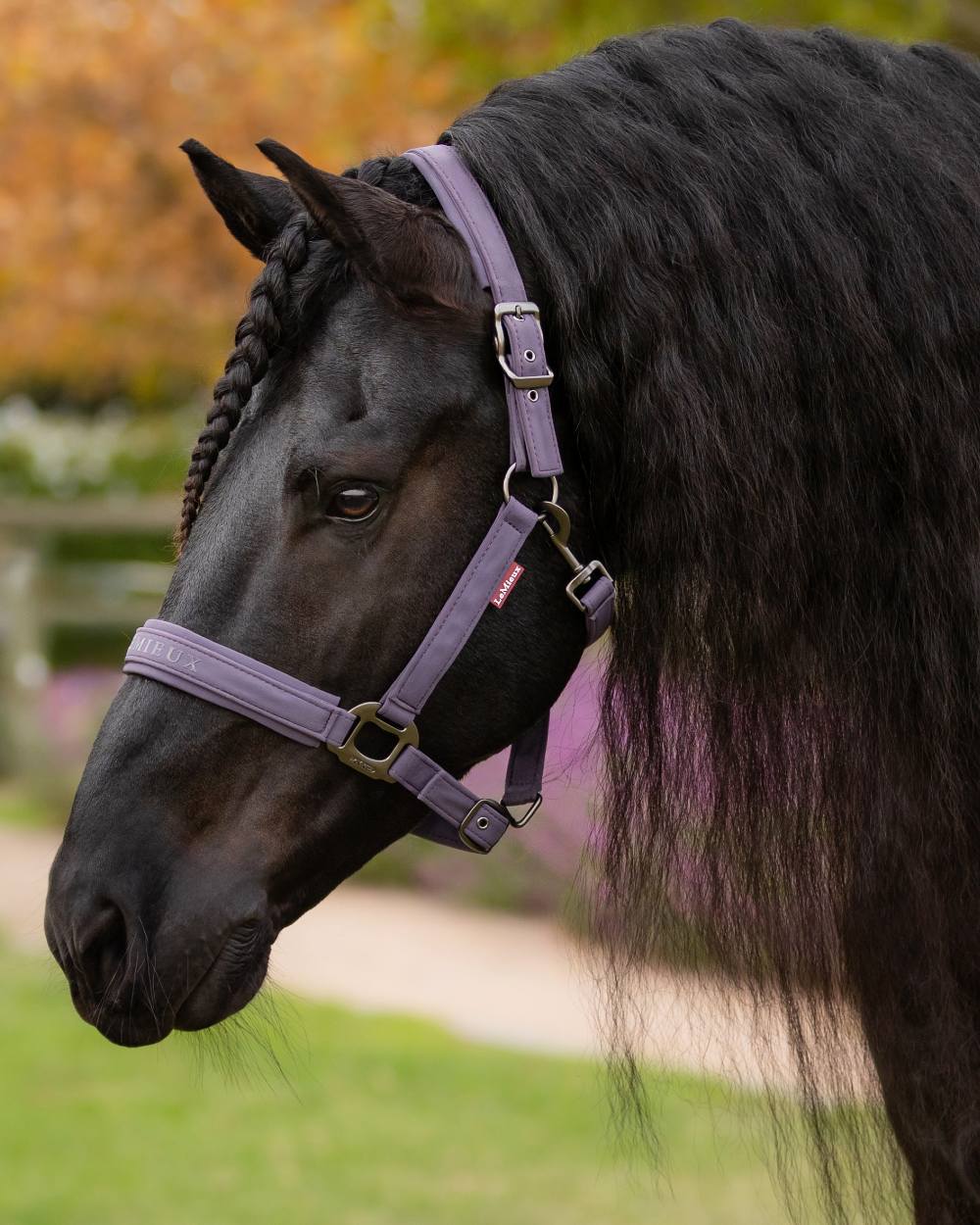LeMieux Essence Headcollar - Image 4